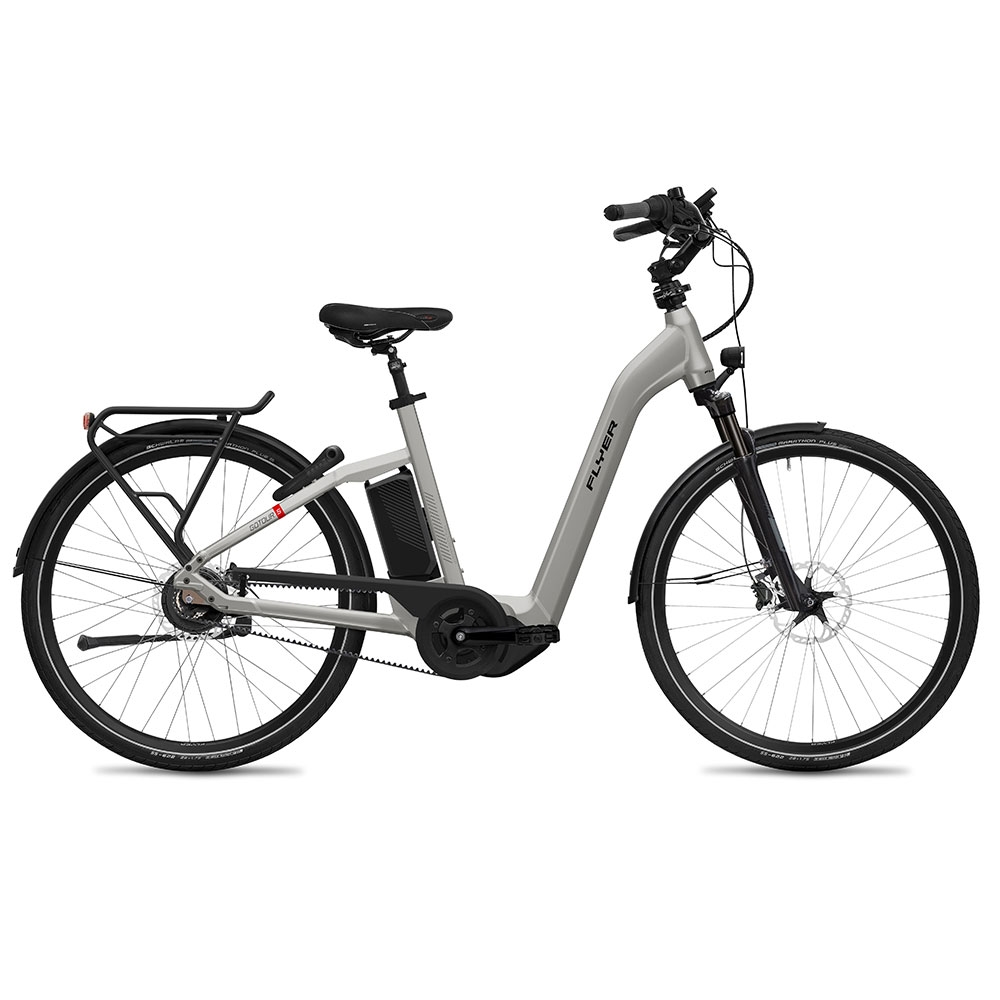 silber| FLYER E-Bike Gotour5 7.23 mit Comfort-Einstieg, Farbe: Silver gloss